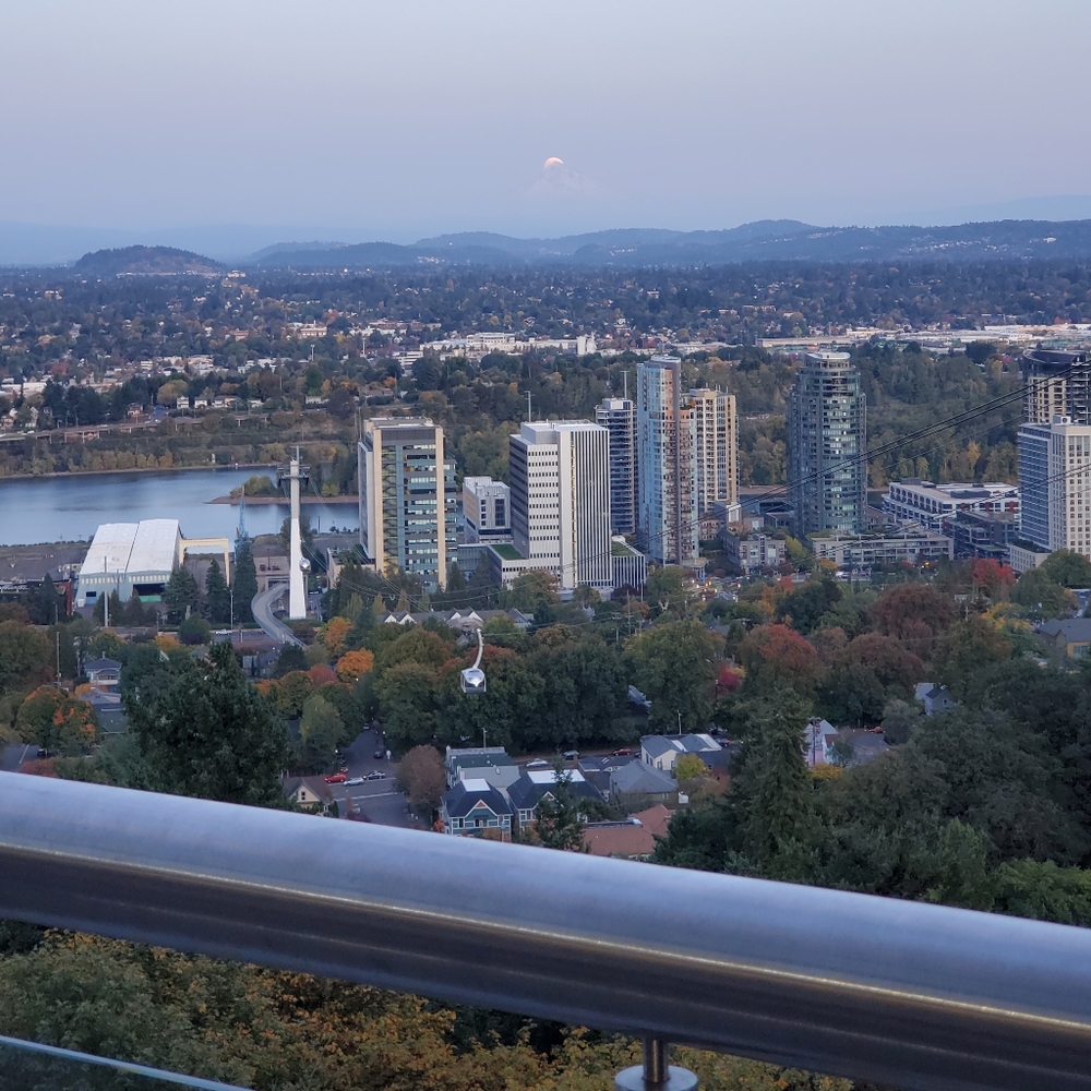 Meet your Posher, Gengen